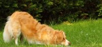 Ob als Einzelchoreo oder in Gruppe, Spaß ist garantiert